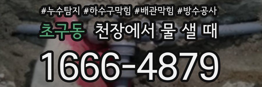 초구동 천장에서 물 샐 때