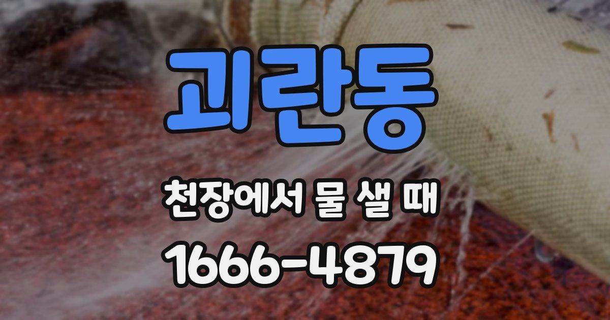 괴란동 천장에서 물 샐 때