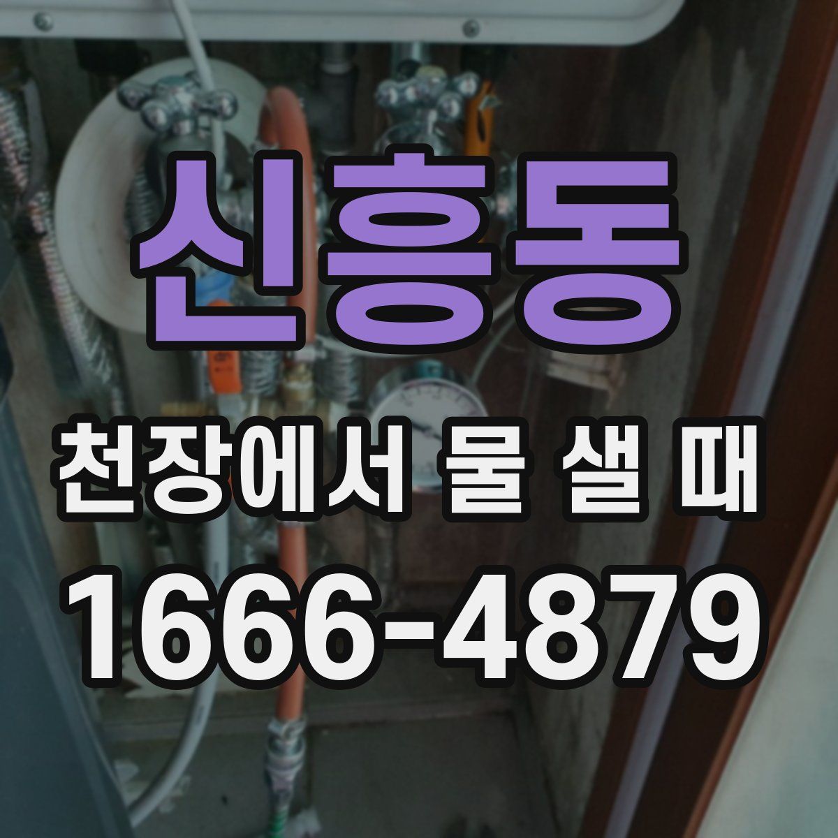 신흥동 천장에서 물 샐 때