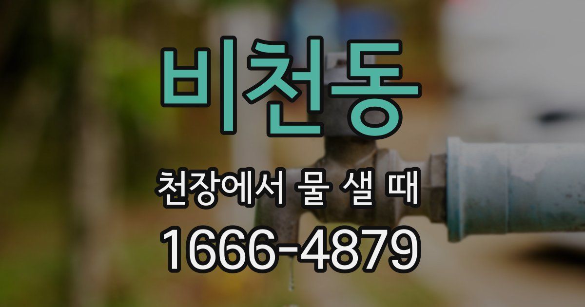 비천동 천장에서 물 샐 때