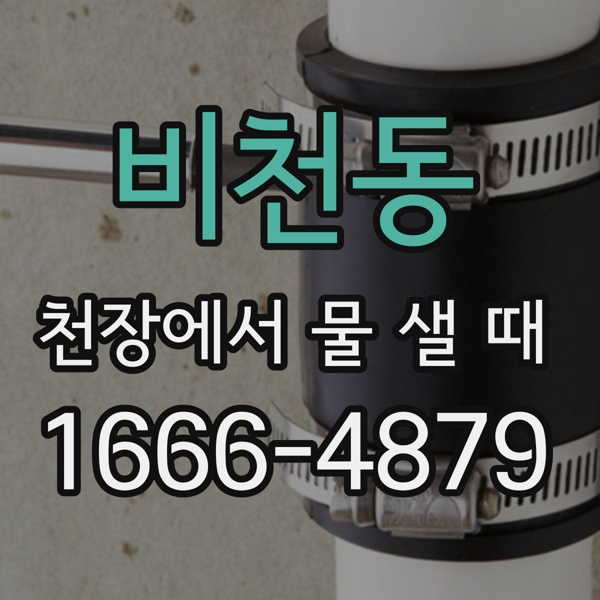 비천동 천장에서 물 샐 때