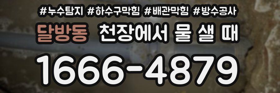 달방동 천장에서 물 샐 때