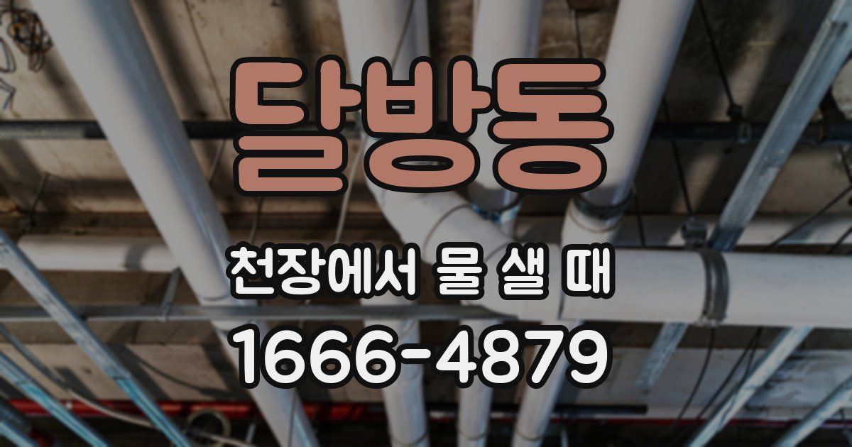 달방동 천장에서 물 샐 때