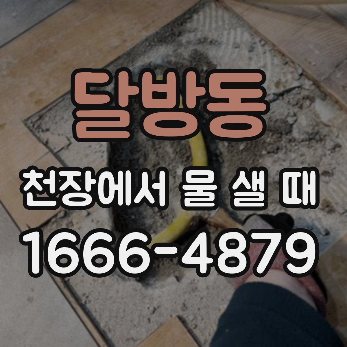 달방동 천장에서 물 샐 때