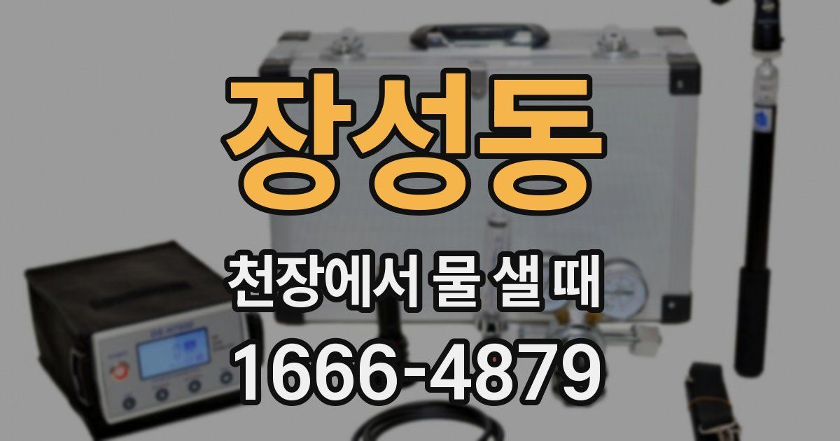 장성동 천장에서 물 샐 때