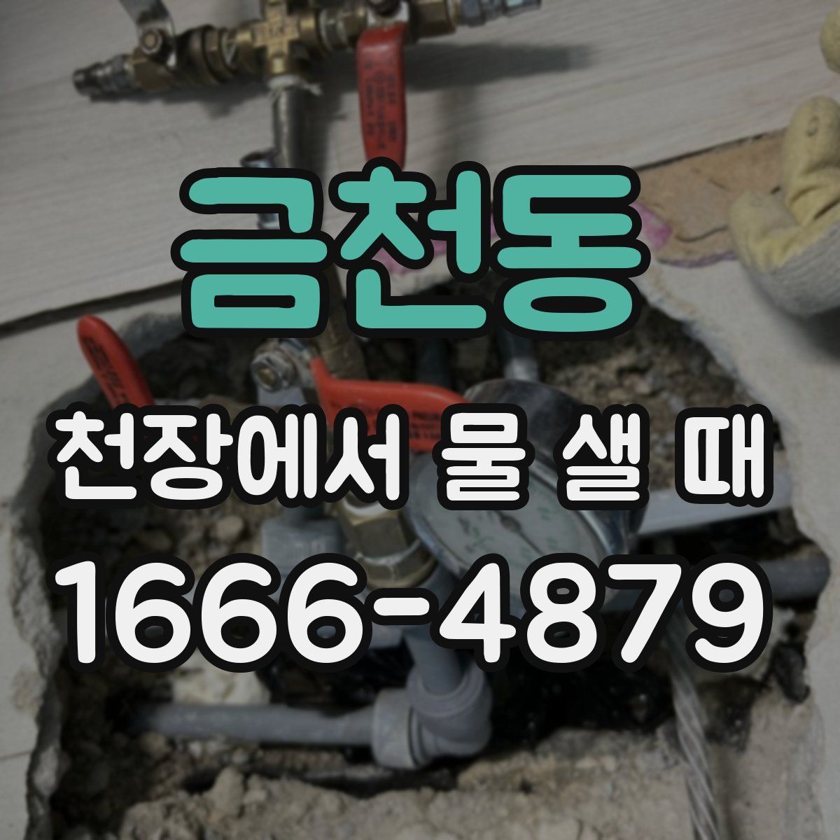 금천동 천장에서 물 샐 때