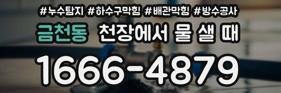 금천동 천장에서 물 샐 때