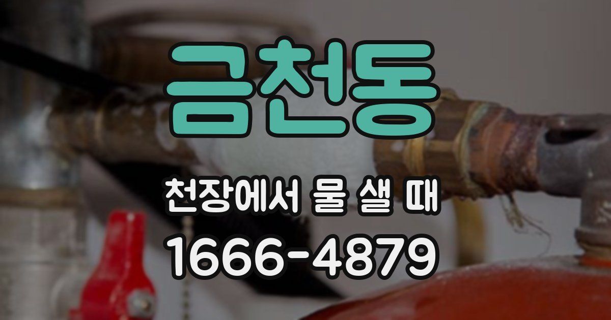 금천동 천장에서 물 샐 때