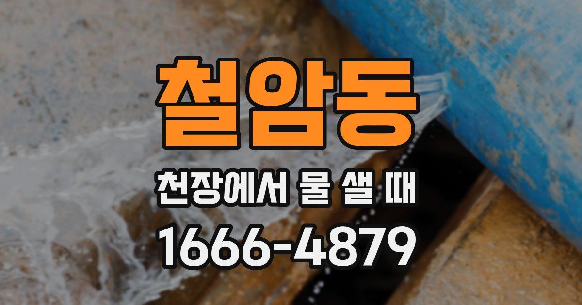 철암동 천장에서 물 샐 때