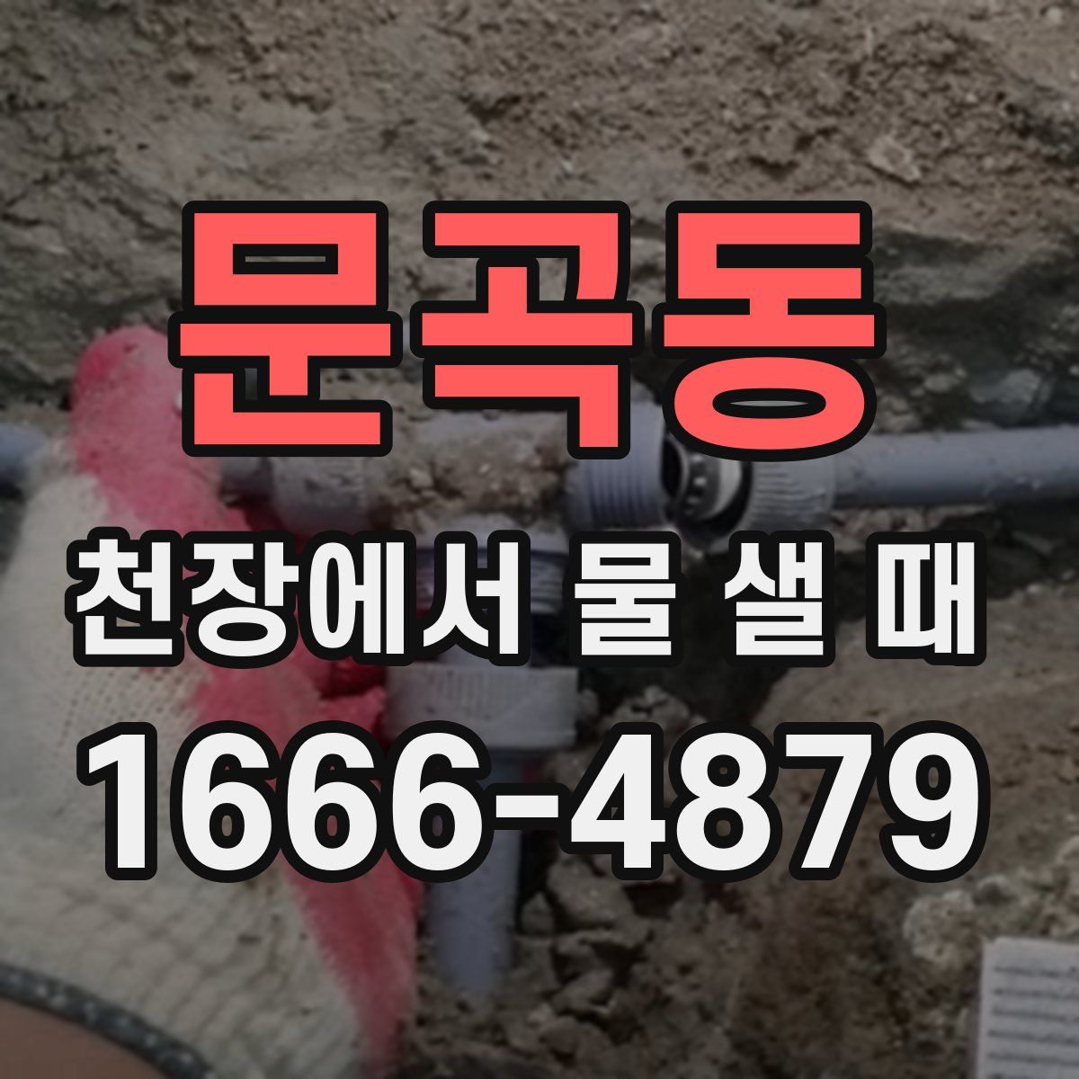 문곡동 천장에서 물 샐 때