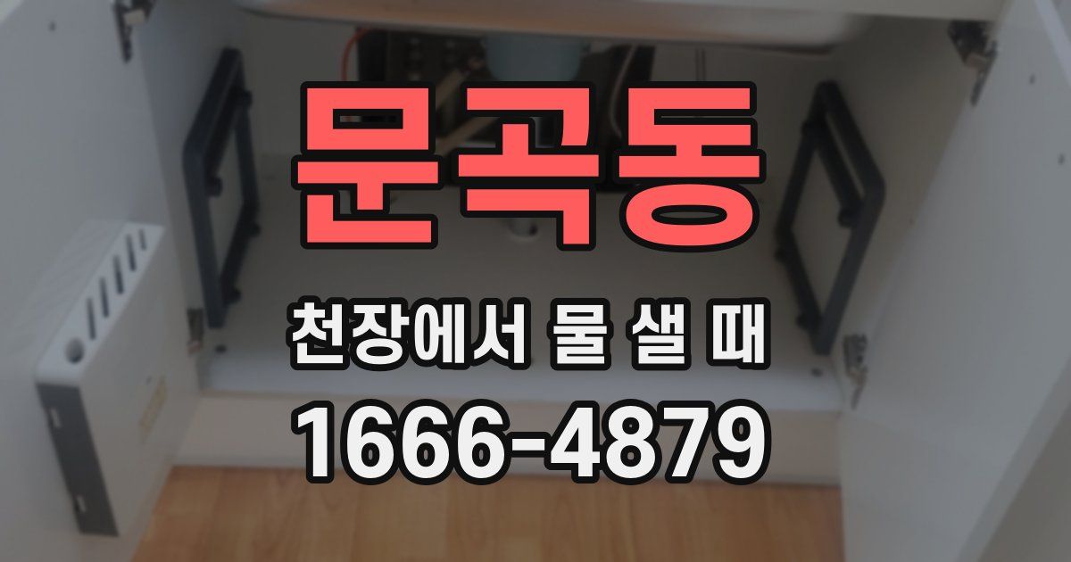 문곡동 천장에서 물 샐 때