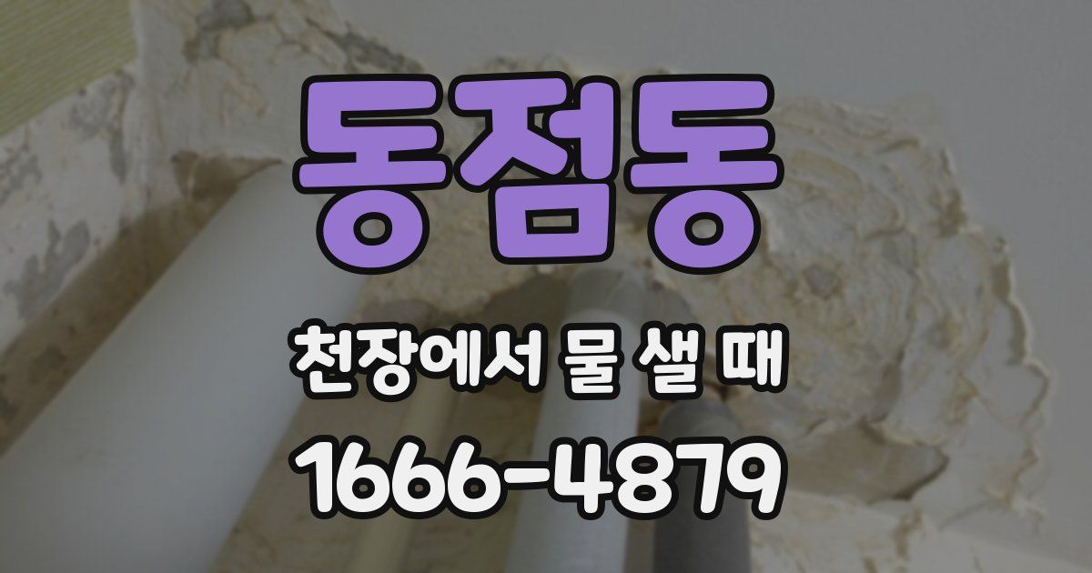 동점동 천장에서 물 샐 때