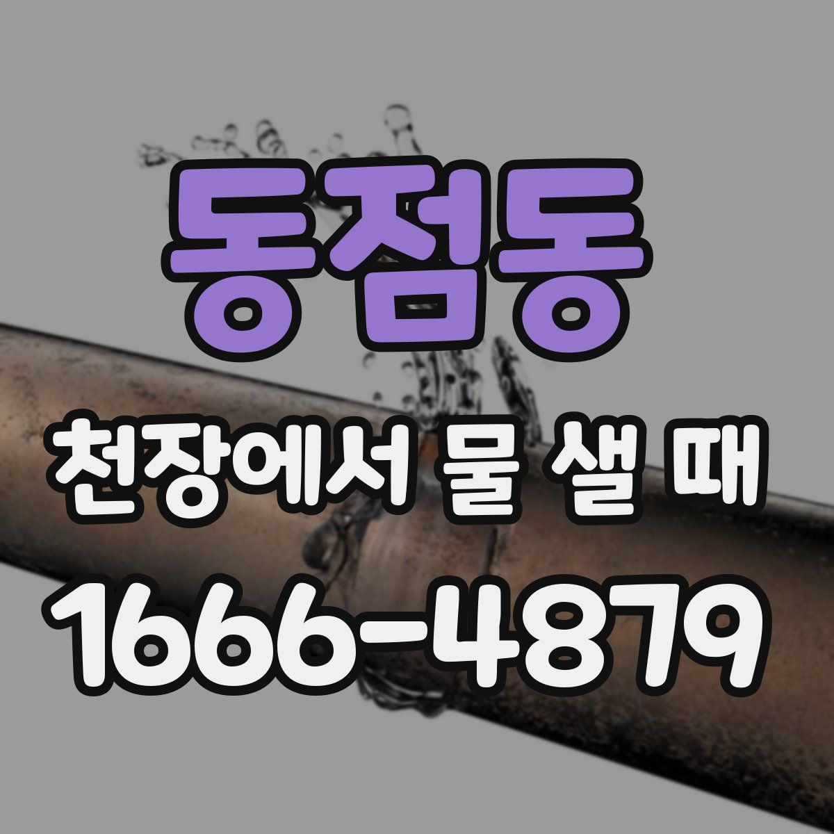 동점동 천장에서 물 샐 때