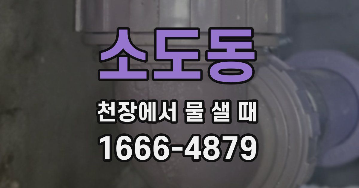 소도동 천장에서 물 샐 때