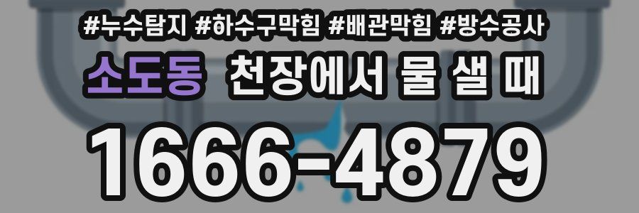 소도동 천장에서 물 샐 때