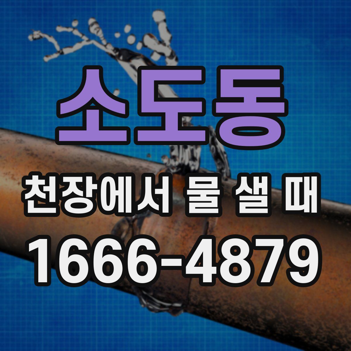 소도동 천장에서 물 샐 때