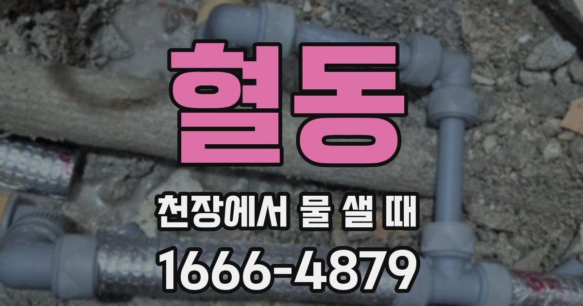 혈동 천장에서 물 샐 때