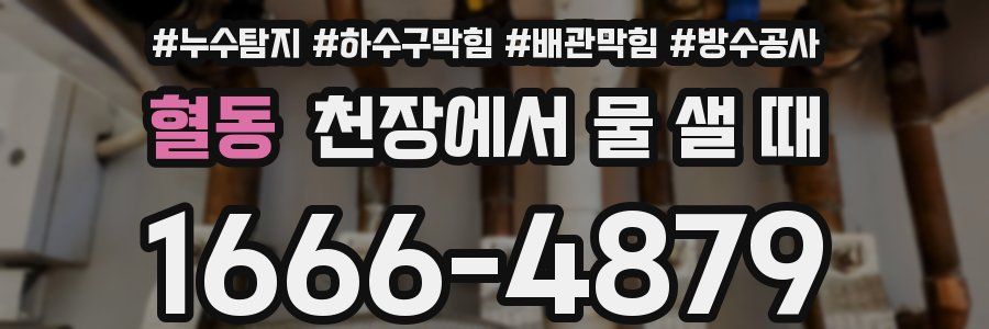 혈동 천장에서 물 샐 때
