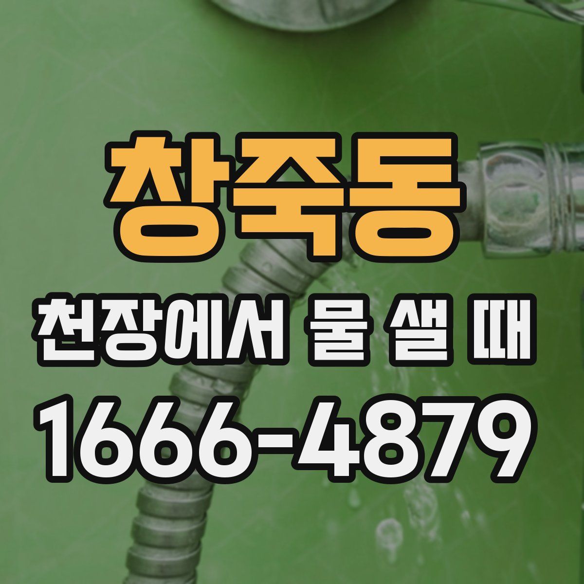 창죽동 천장에서 물 샐 때