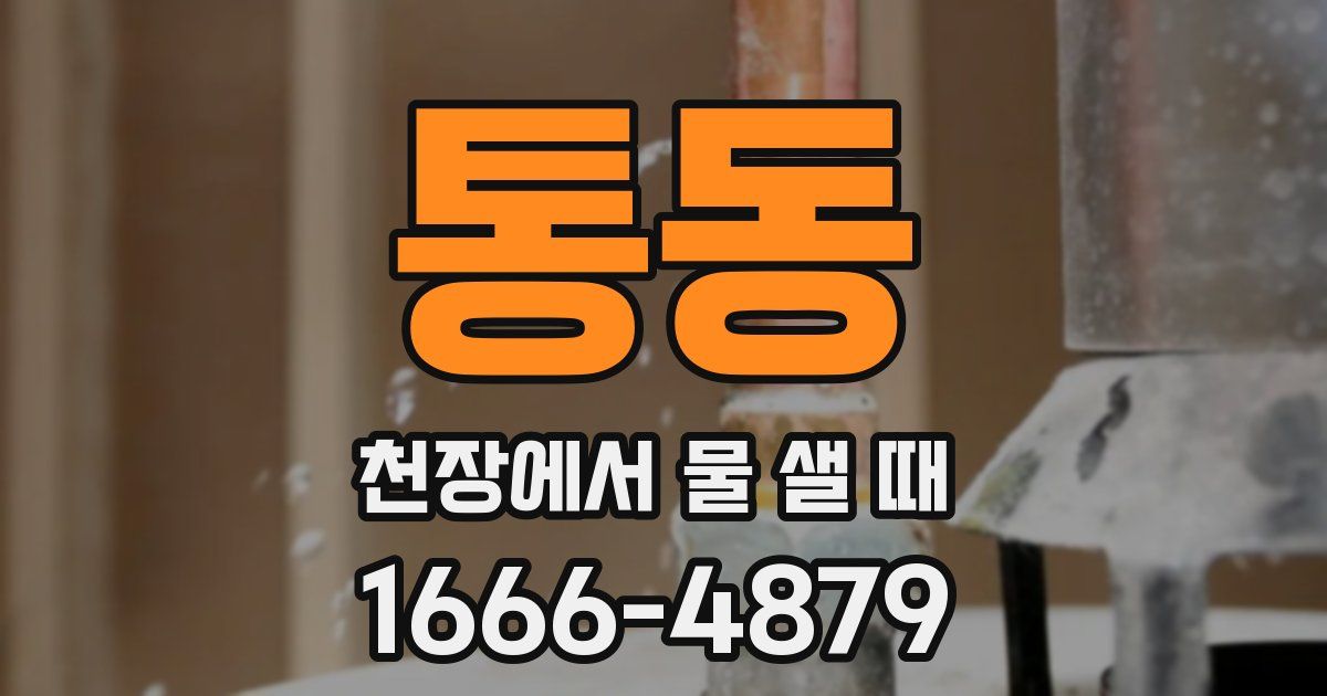 통동 천장에서 물 샐 때