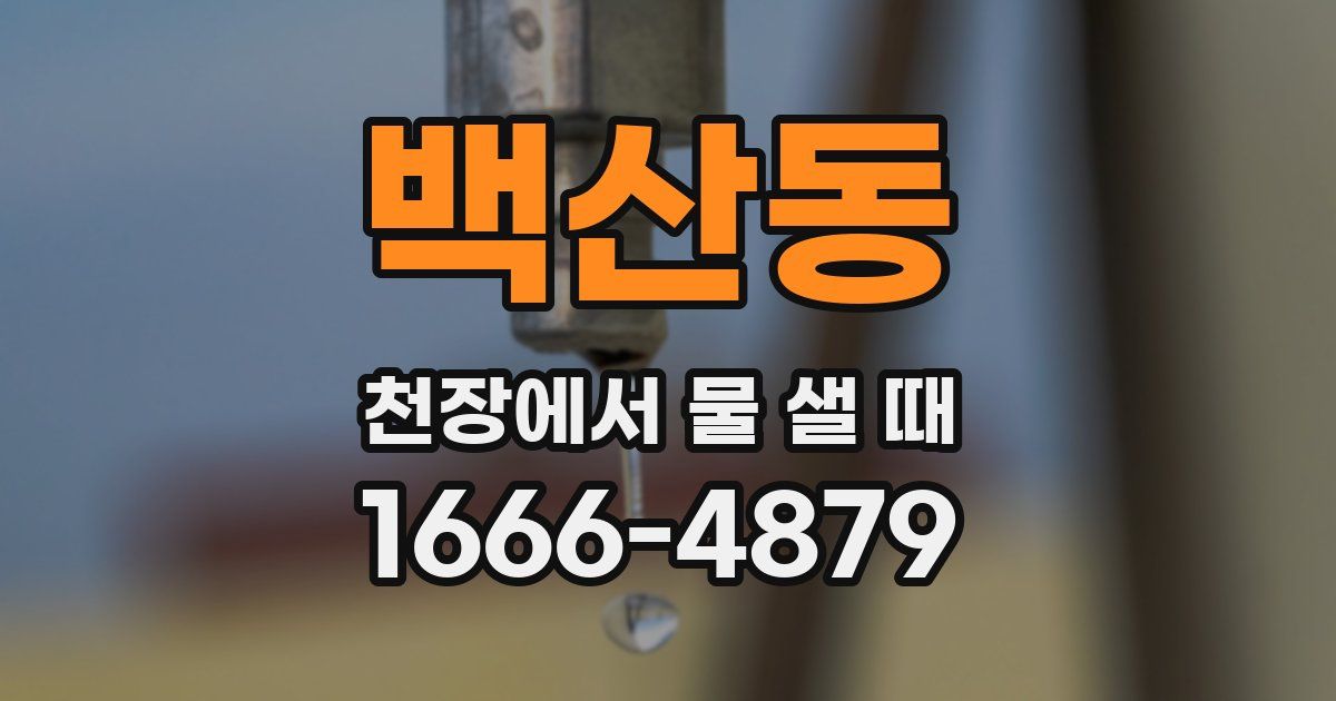 백산동 천장에서 물 샐 때