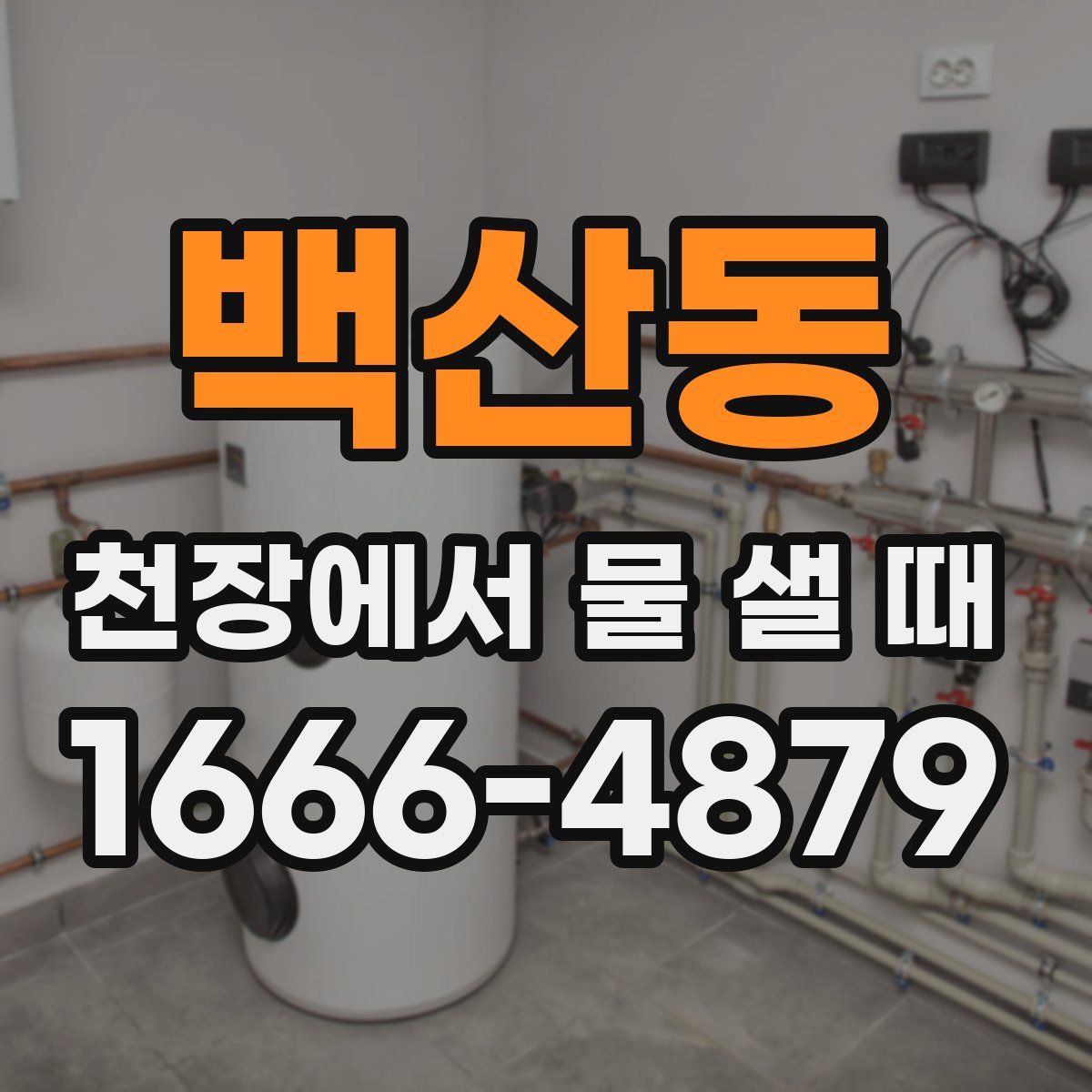 백산동 천장에서 물 샐 때
