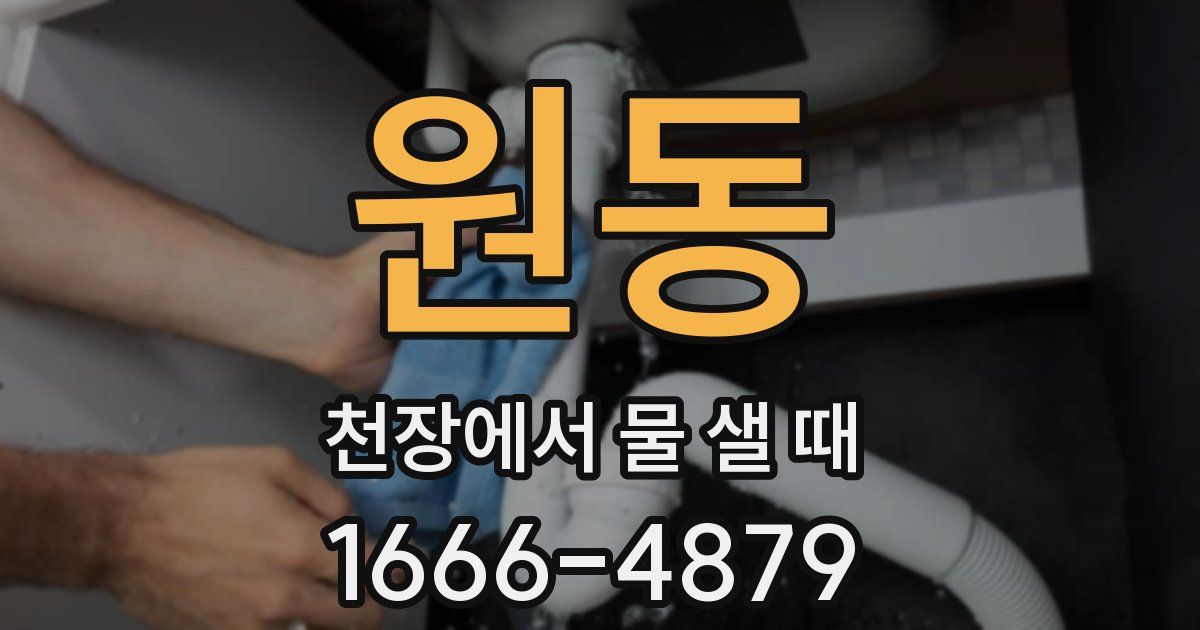 원동 천장에서 물 샐 때