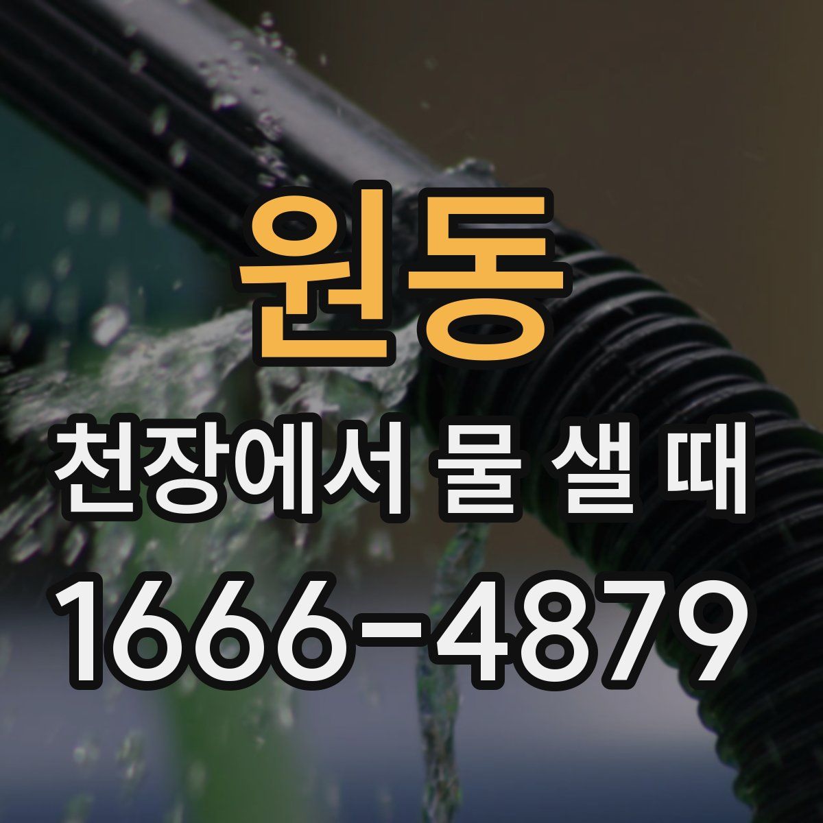 원동 천장에서 물 샐 때