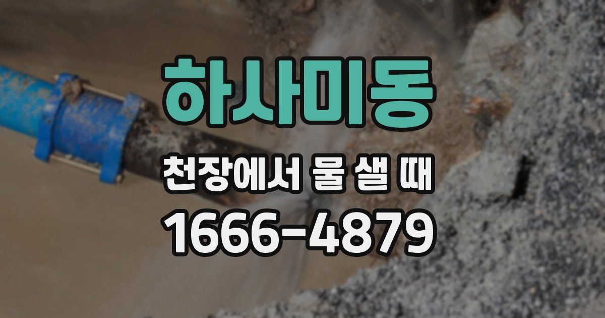 하사미동 천장에서 물 샐 때