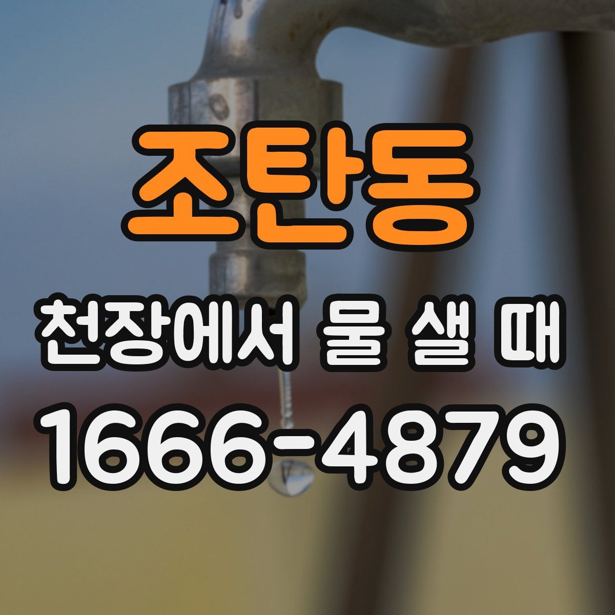 조탄동 천장에서 물 샐 때