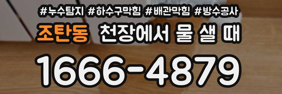 조탄동 천장에서 물 샐 때
