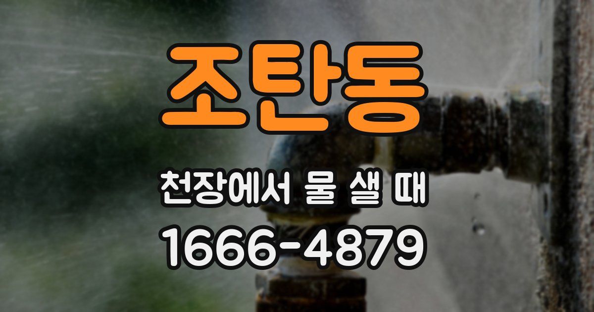조탄동 천장에서 물 샐 때