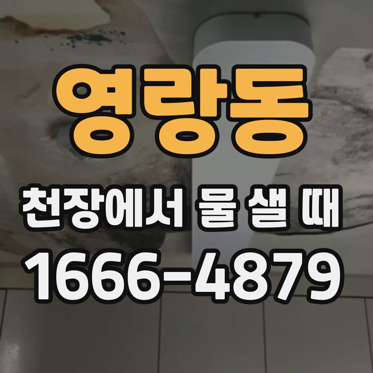 영랑동 천장에서 물 샐 때