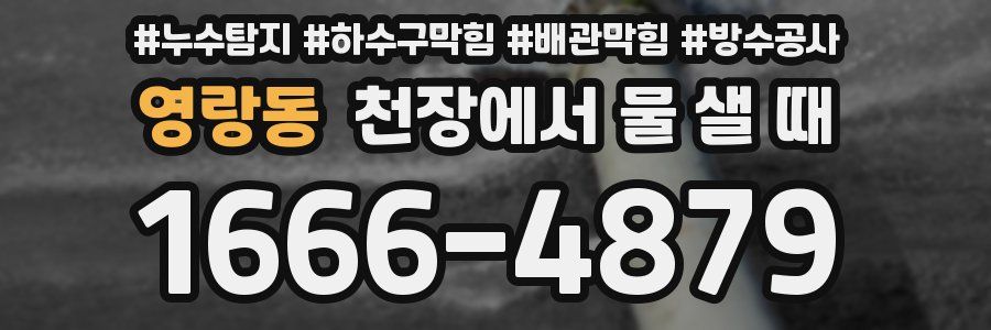 영랑동 천장에서 물 샐 때
