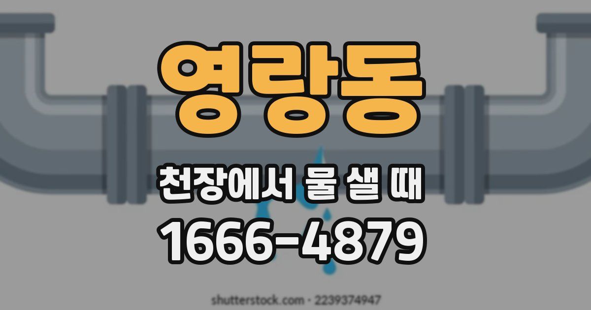 영랑동 천장에서 물 샐 때