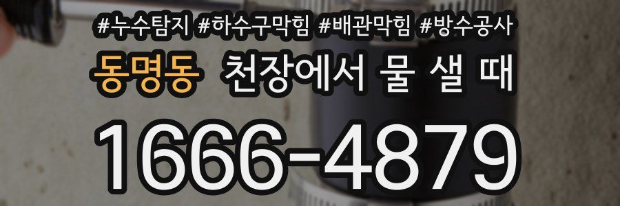 동명동 천장에서 물 샐 때