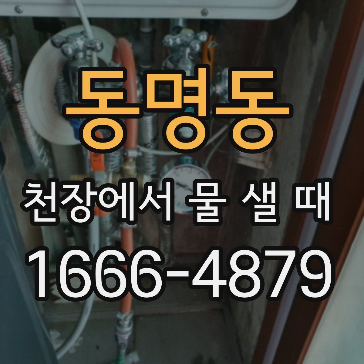 동명동 천장에서 물 샐 때