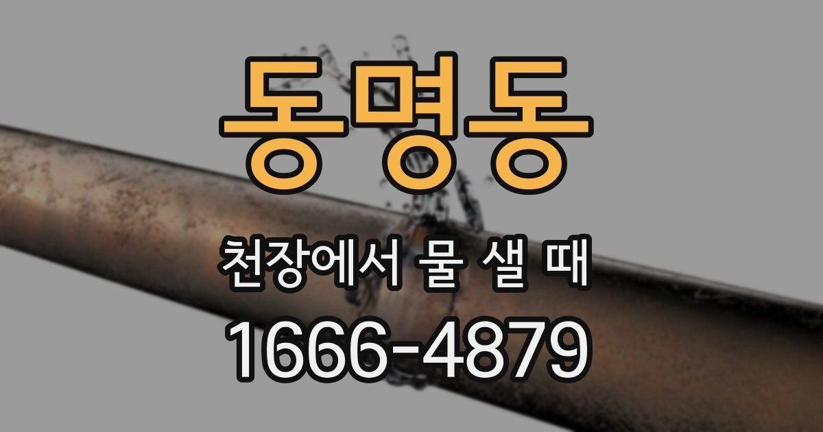 동명동 천장에서 물 샐 때