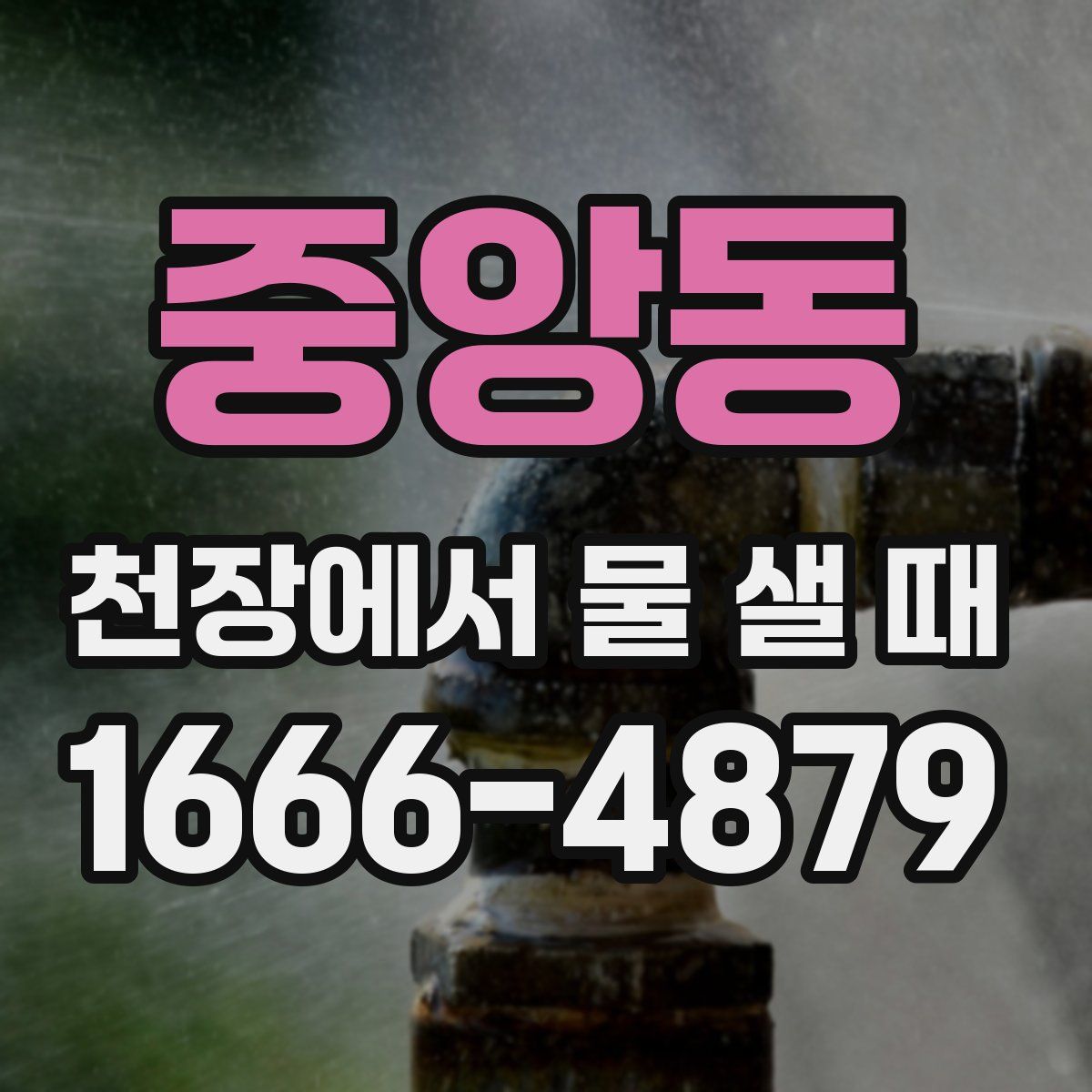중앙동 천장에서 물 샐 때