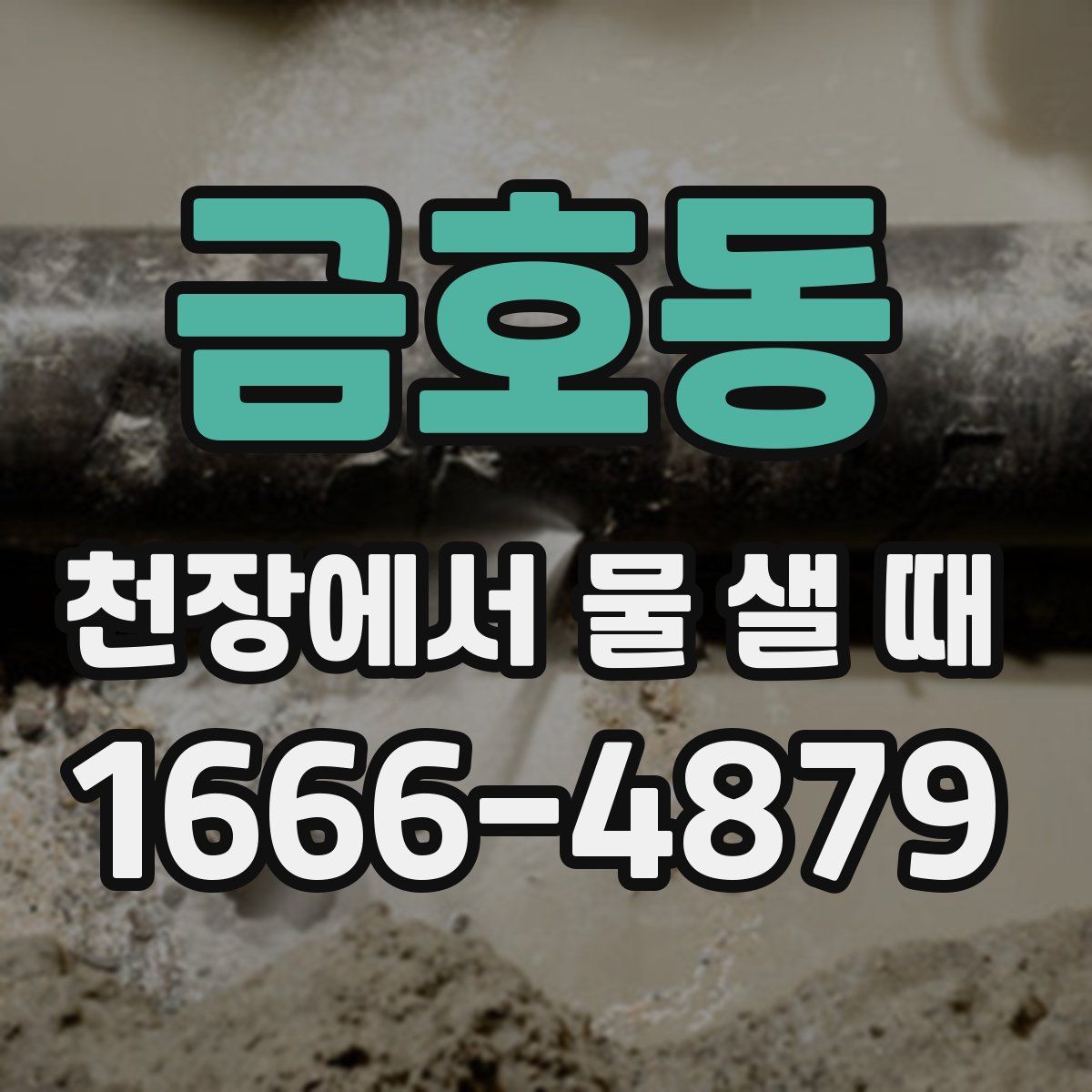 금호동 천장에서 물 샐 때