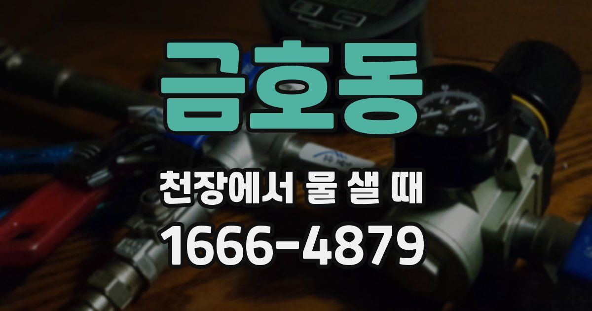 금호동 천장에서 물 샐 때