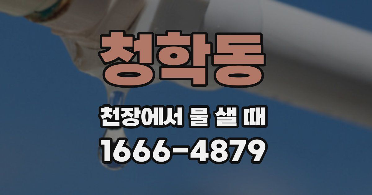 청학동 천장에서 물 샐 때