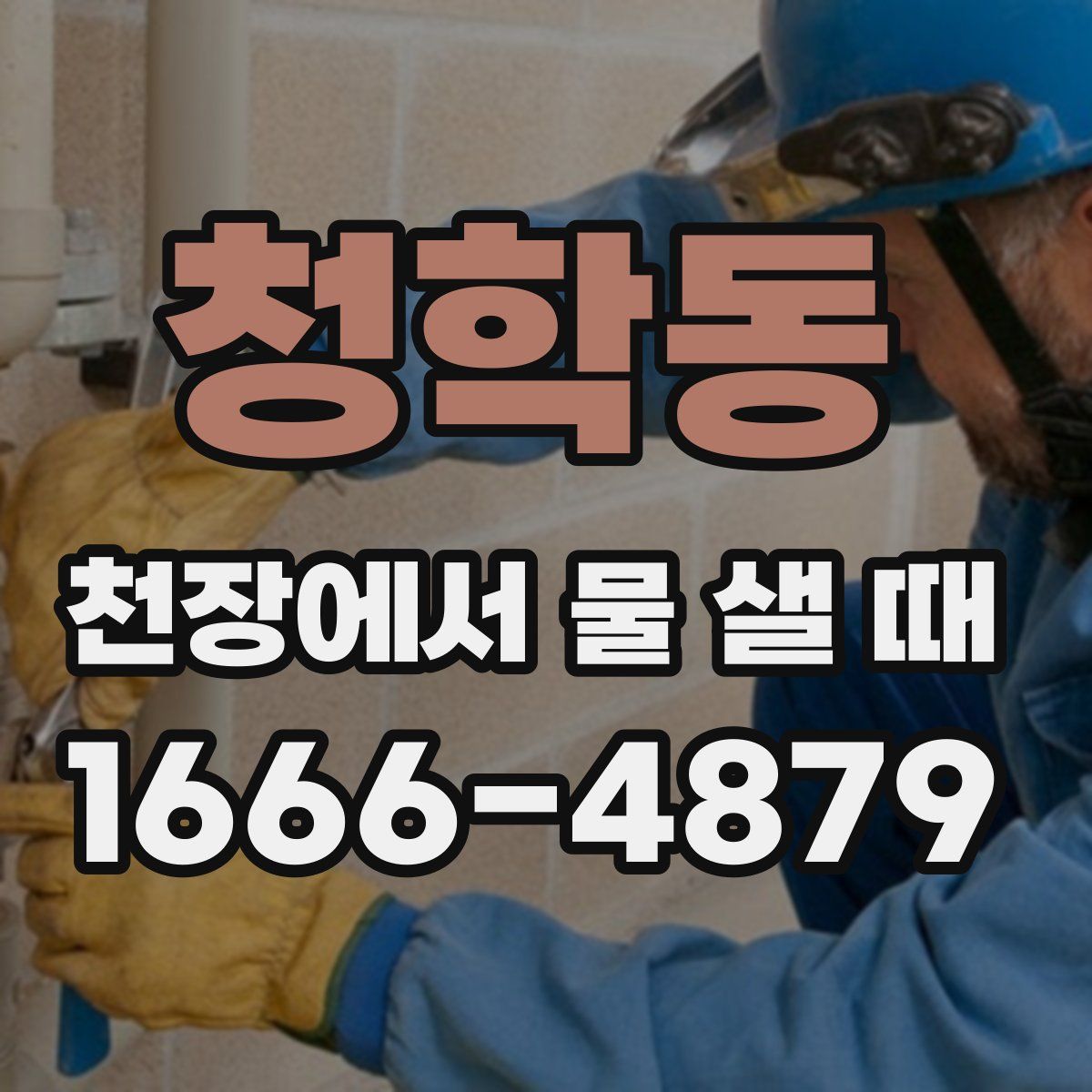 청학동 천장에서 물 샐 때