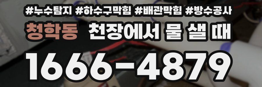 청학동 천장에서 물 샐 때