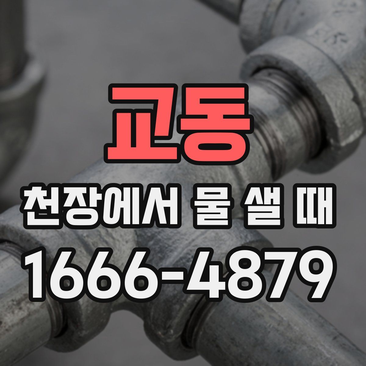 교동 천장에서 물 샐 때