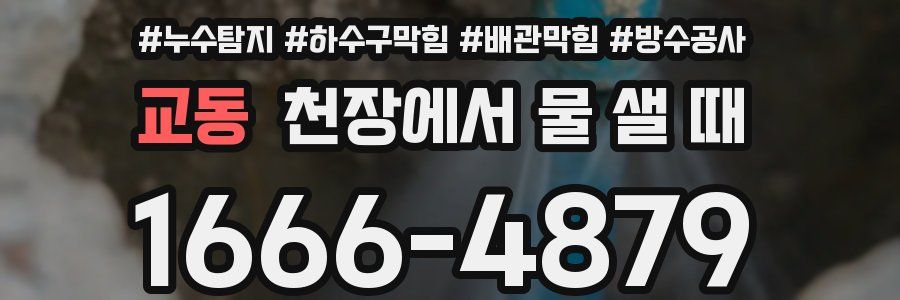 교동 천장에서 물 샐 때