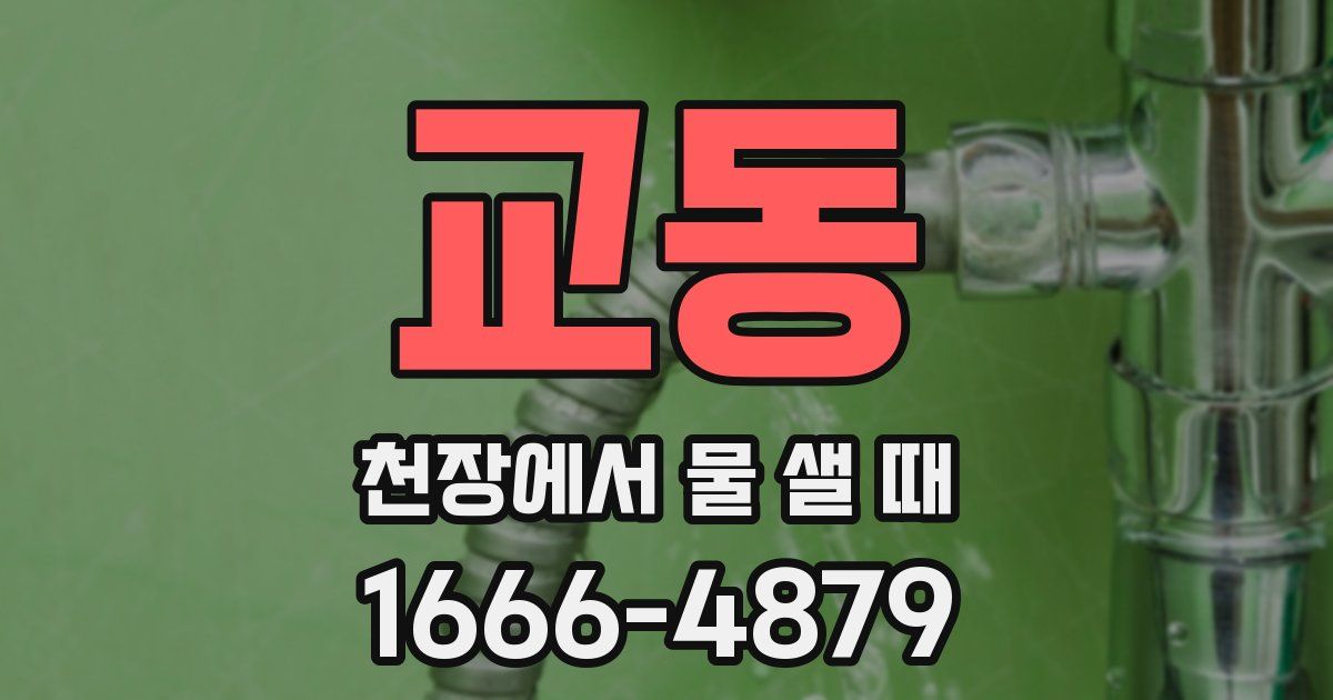 교동 천장에서 물 샐 때