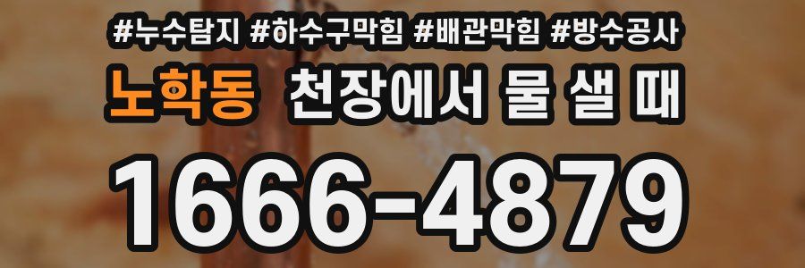 노학동 천장에서 물 샐 때