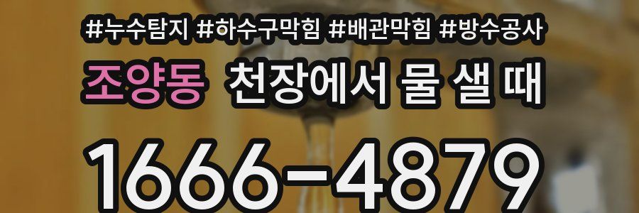 조양동 천장에서 물 샐 때