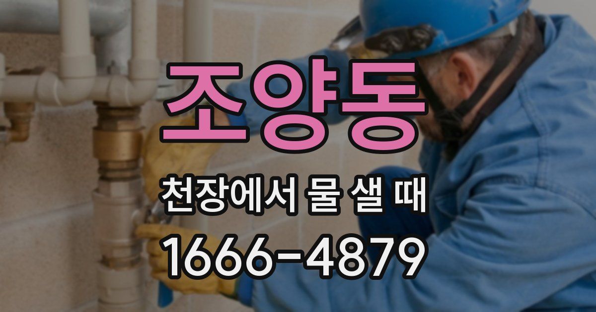 조양동 천장에서 물 샐 때
